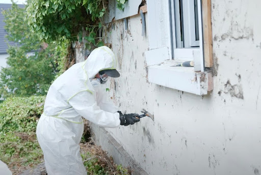 Testing Asbestos Cladding: When and How to Do It Safely in NZ